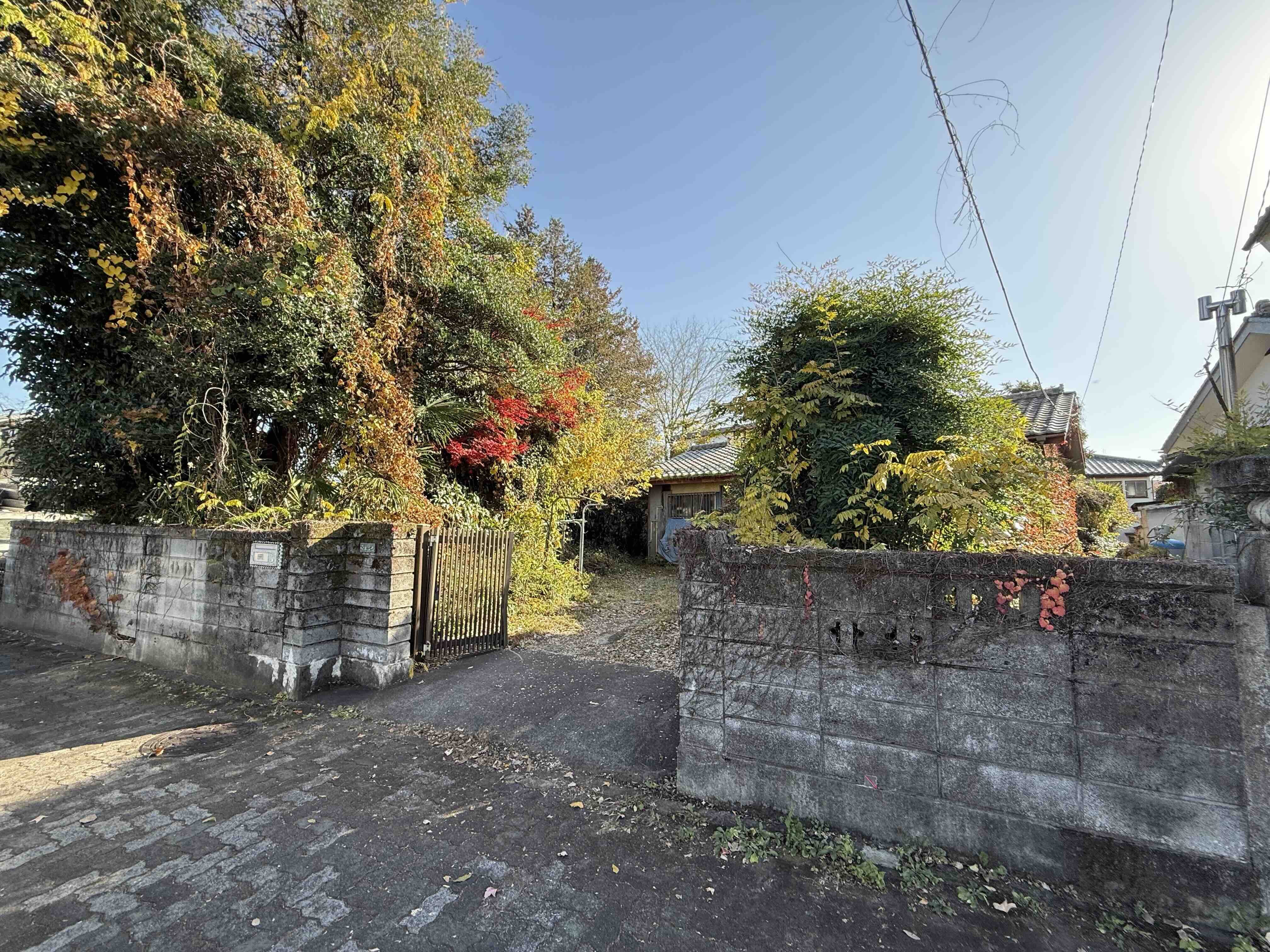 令和7年12月撮影 令和7年12月撮影