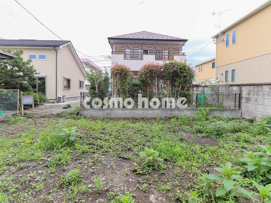 令和7年6月撮影 令和7年6月撮影