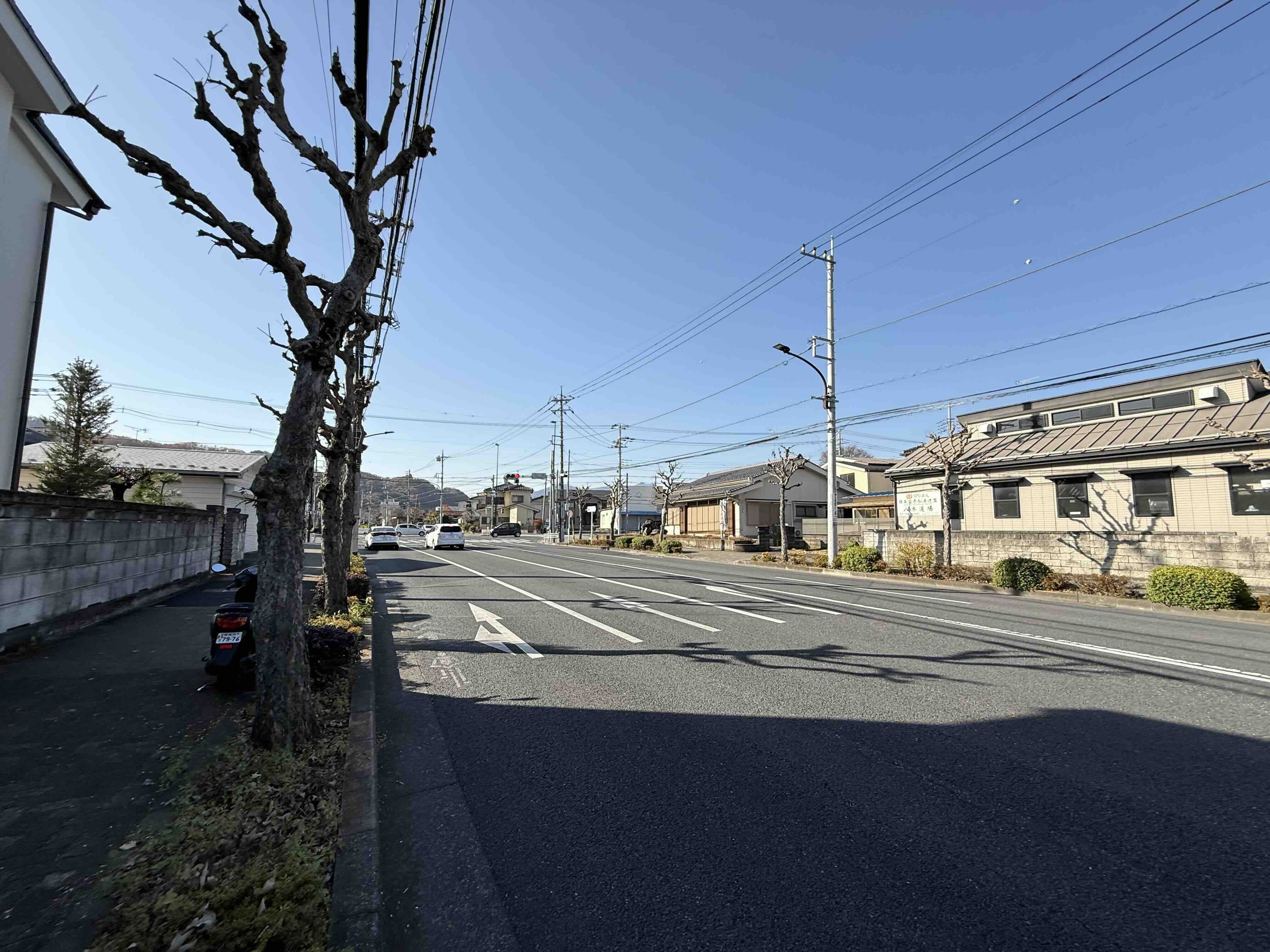 令和7年12月撮影 令和7年12月撮影