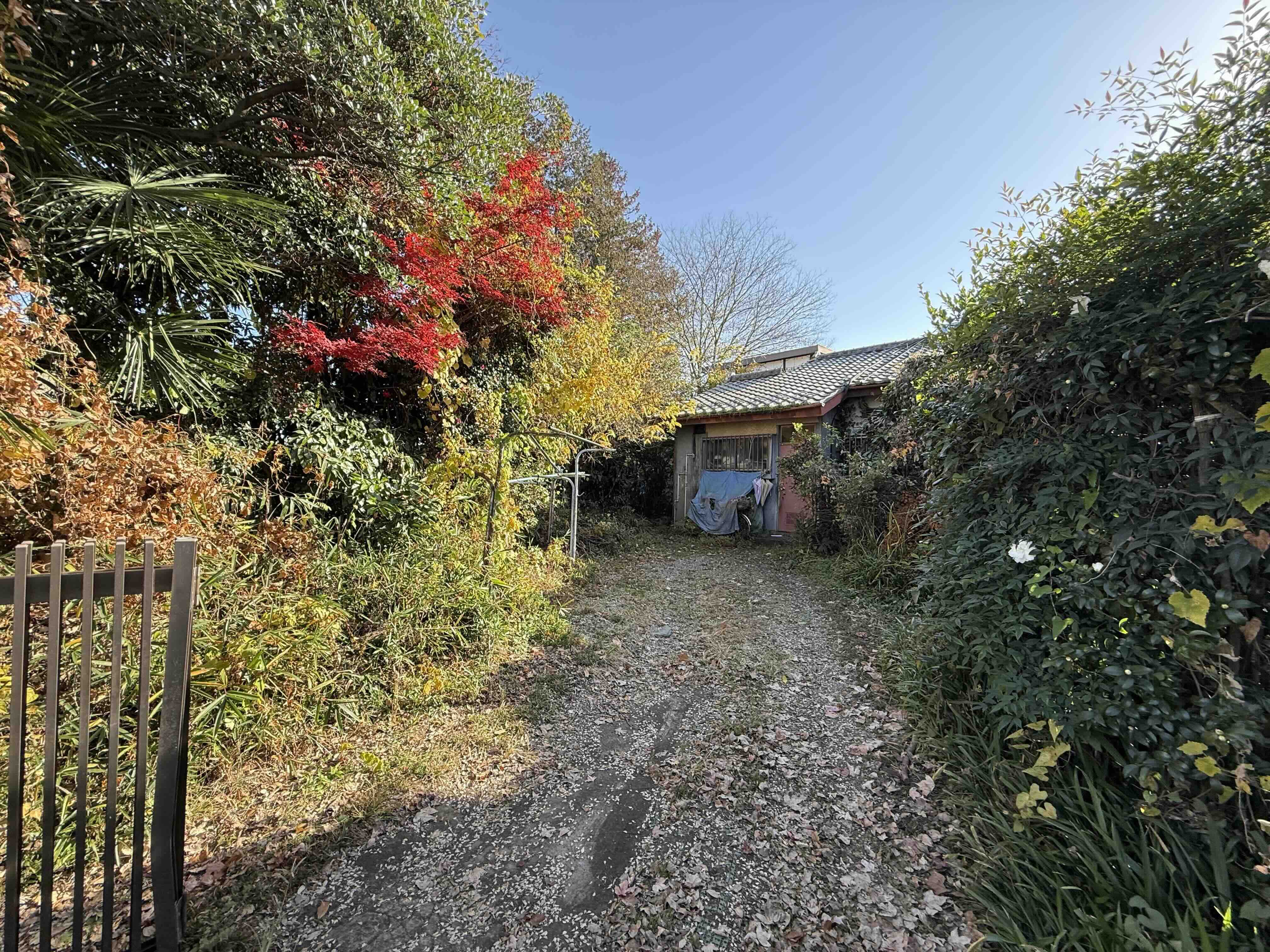 令和7年12月撮影 令和7年12月撮影