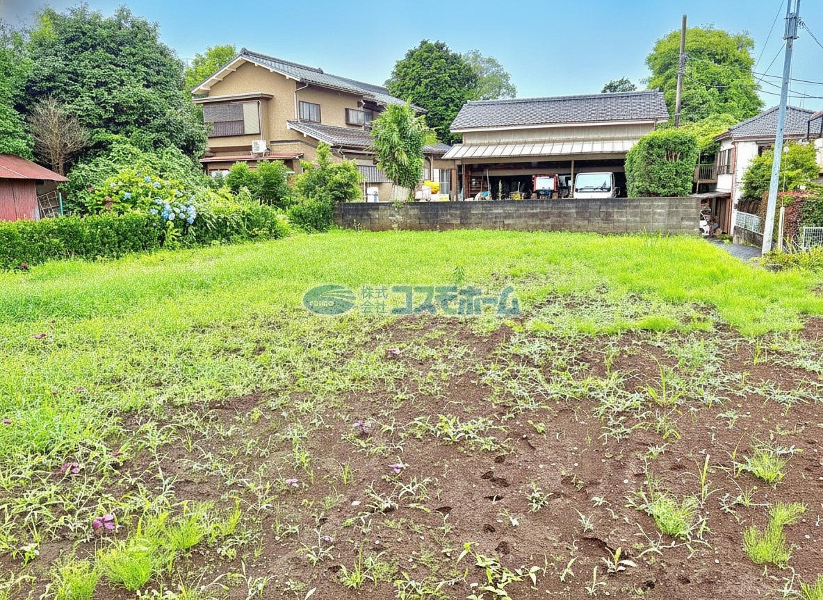 現地写真(令和8年7月撮影) 現地写真(令和8年7月撮影)